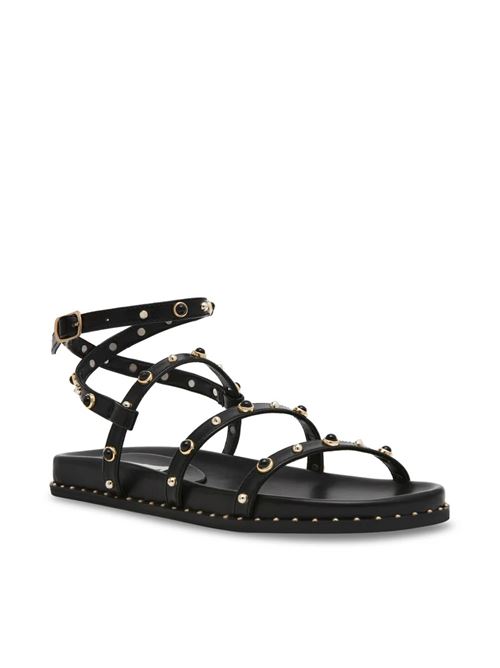 stormie STEVE MADDEN | SMSSTORMIEBLACK